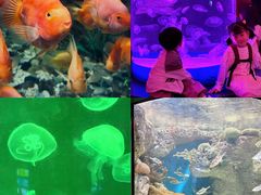 -福州罗源湾海洋世界旅游区