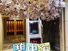 -碧中海汤泉汗蒸酒店