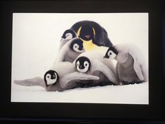 -罗红摄影艺术馆