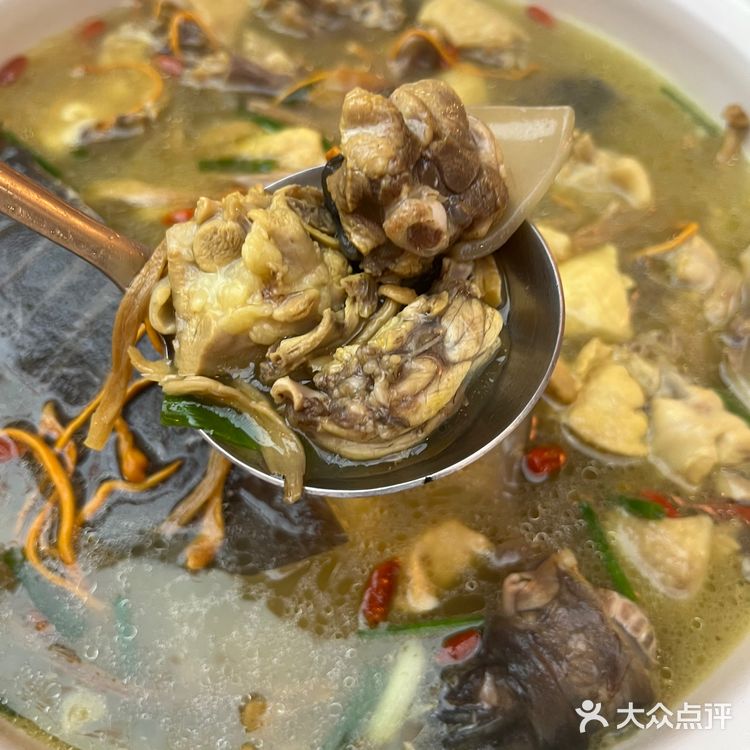 吃甲鱼,还得是这家❗️