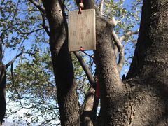 -阳台山自然风景区