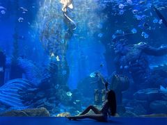 -波塞冬旅游度假区