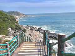 -广东惠东海龟国家级自然保护区