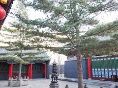 -长安寺