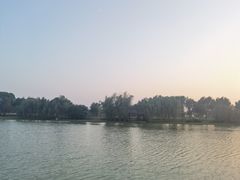 -上膳源有机农场