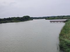 -西京湾花海