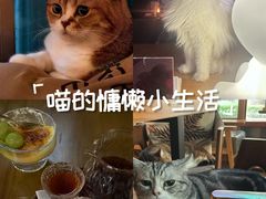 -咖法森林·咖啡  酒吧(天河店)