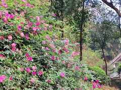 -大龙山(地铁站)