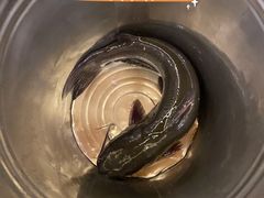 乌江鱼-贵州大厦贵州厅(樱花园西街店)