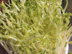 -鸢飞潍坊菜馆(鸢飞大酒店)