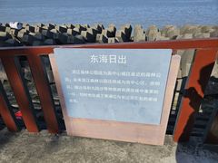 -上海滨江森林公园