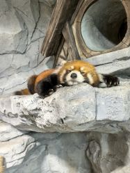 -Zoolung Zoolung动物主题公园(海信广场店)