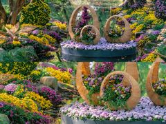 -上海共青森林公园