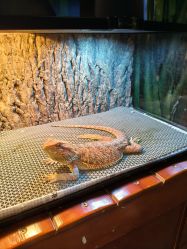 -酷嗒动物文化乐园(cutezoo西溪乐天城店)