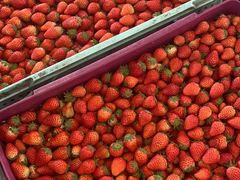 -西郊国际农产品交易中心