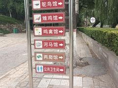 -保定市动物园