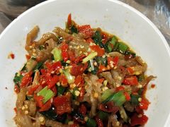 -壹盏灯(惠农店)