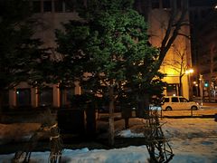 -大通公园