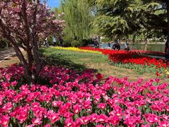 -石家庄市植物园