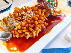 松鼠桂鱼-松鹤楼·非遗·苏帮菜(融科店)