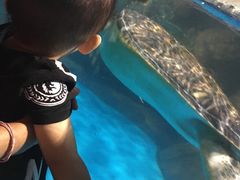 -秦皇岛新澳海底世界