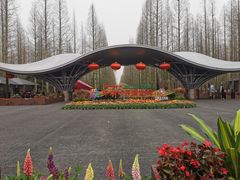 -东平国家森林公园