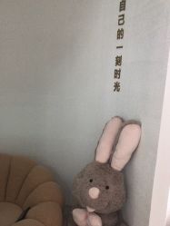 点击看大图 -薇薇安花系SPA