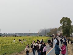 -崔岗艺术村