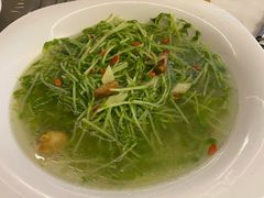 上汤豆苗-欢乐海岸美食联盟