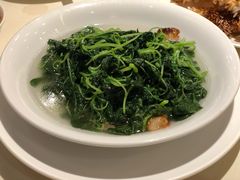 上汤蒜子泡苋菜-利苑酒家(华熙国际店)