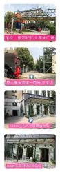 -宝贝家族国际影像馆(东郊记忆店)