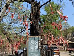 -水峪民俗村