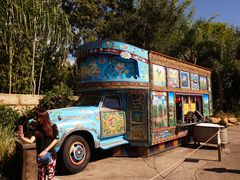 -奥兰多迪士尼动物王国乐园