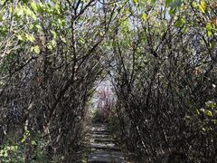-黑龙江省森林植物园