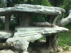 -北京野生动物园