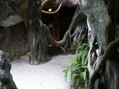 -疯狂屋