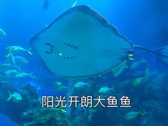-海合安青岛极地海洋公园
