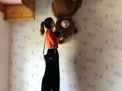 -金山农民画村-枫泾波兰倒置屋