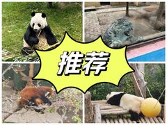 -青藏高原野生动物园