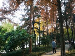 -运河游船(武林门码头)