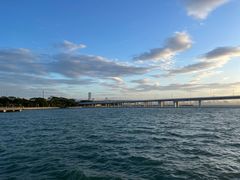 -深圳湾公园(南山区)