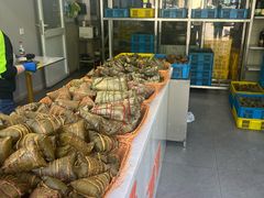 -召稼楼永茂昌粽子大王