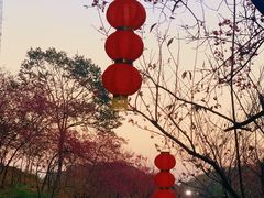 -广州市帽峰山景区