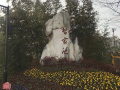 -习家池