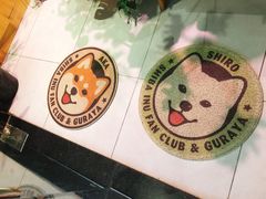 -柴务处·柴犬主题狗咖