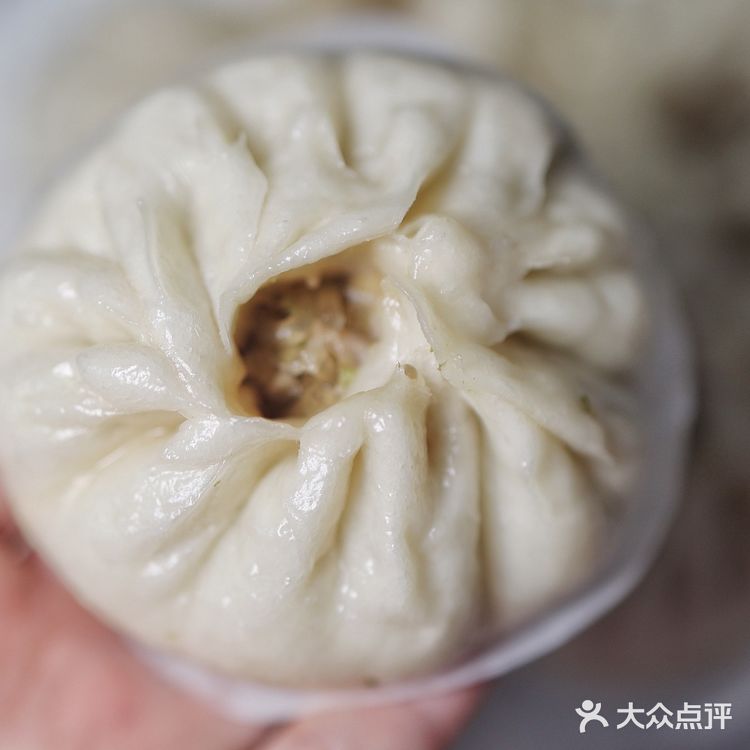 在家自制白菜猪肉包 这样做巨好吃❗️