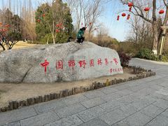 -习家池