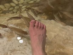 -中铁花水湾温泉酒店(大邑店)