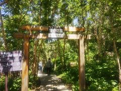 -白草畔自然风景区