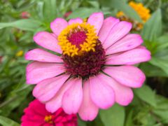 -玄武湖景区-情侣园游乐场